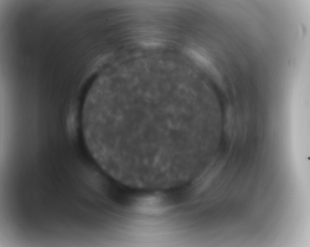X0000088480116200706051407