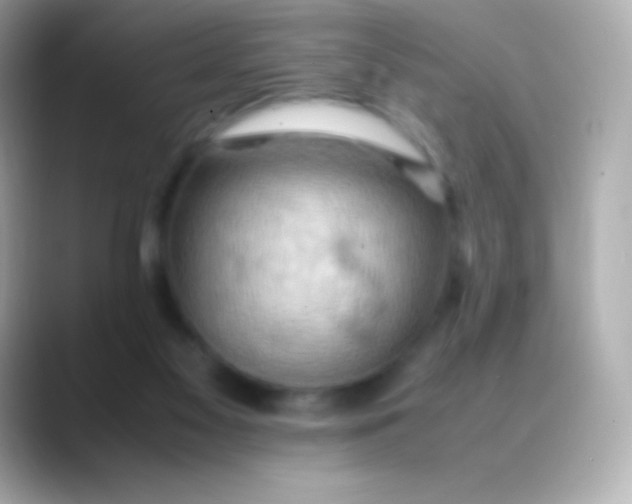 X0000088480117200706051407