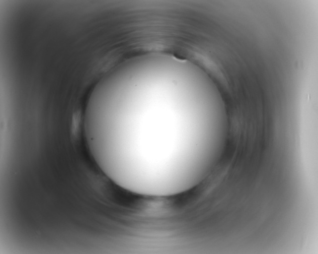 X0000088480118200706051407