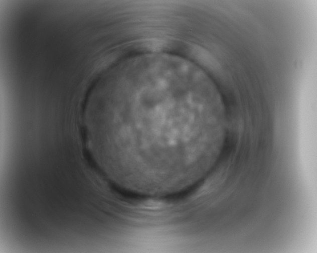 X0000088480119200706051407