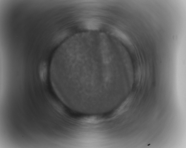 X0000088480120200706051407