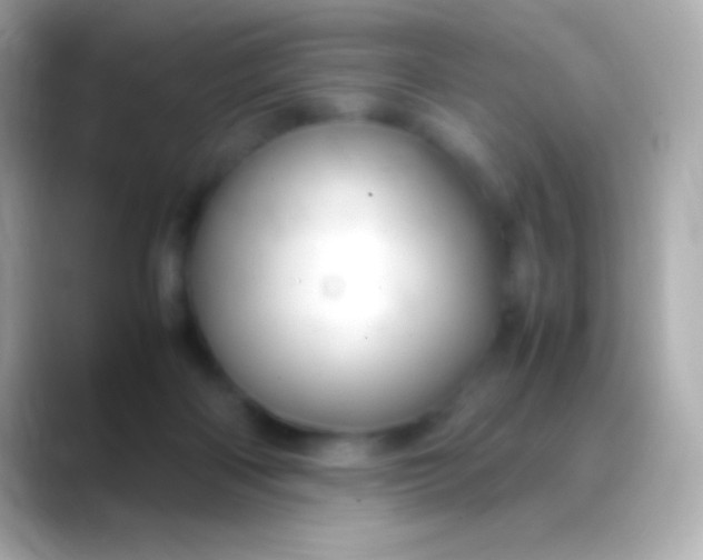 X0000088480122200706051407