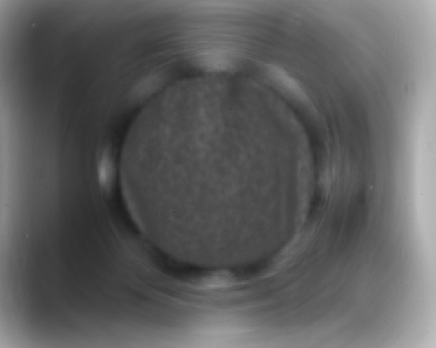 X0000088480124200706051407