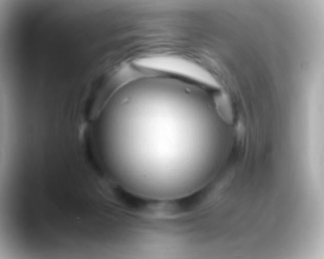 X0000088480125200706051407