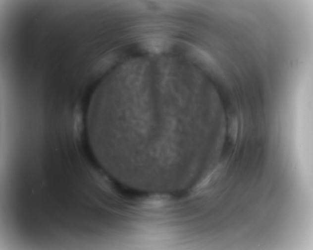 X0000088480128200706051407
