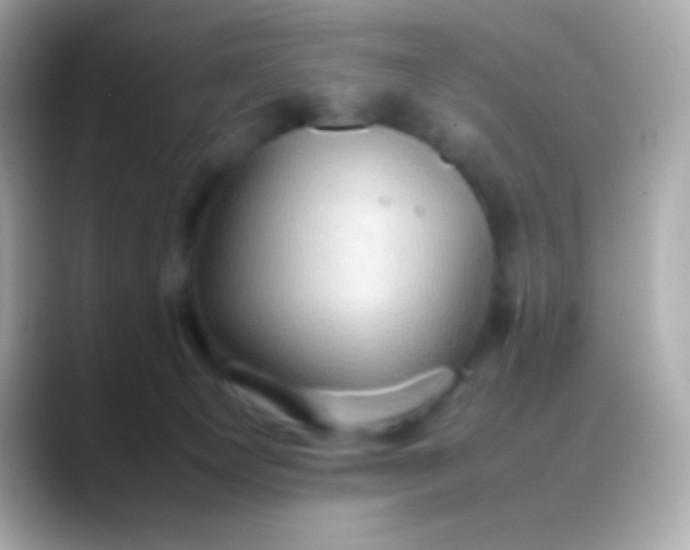 X0000088480129200706051407