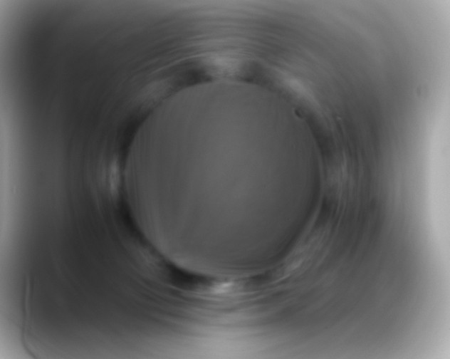 X0000088480130200706051407