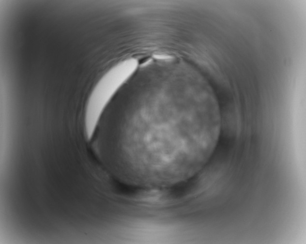 X0000088480131200706051407