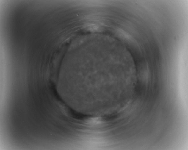 X0000088480132200706051407