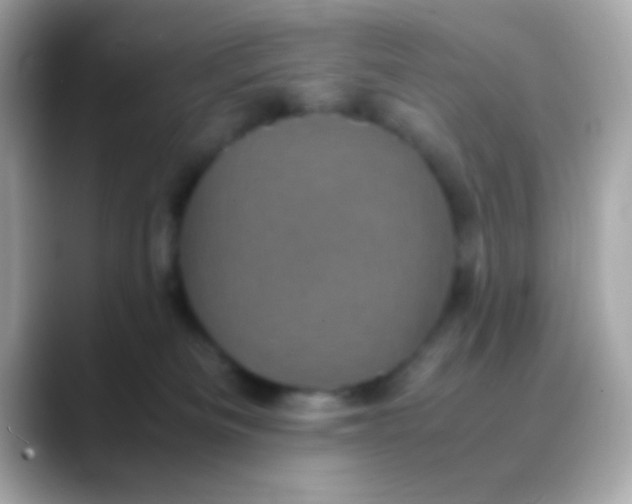 X0000088480133200706051407