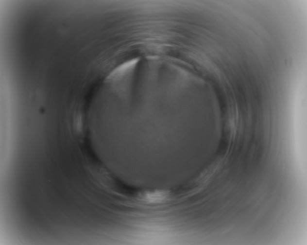 X0000088480134200706051407