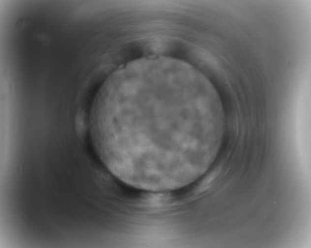 X0000088480135200706051407