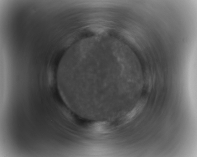X0000088480136200706051407