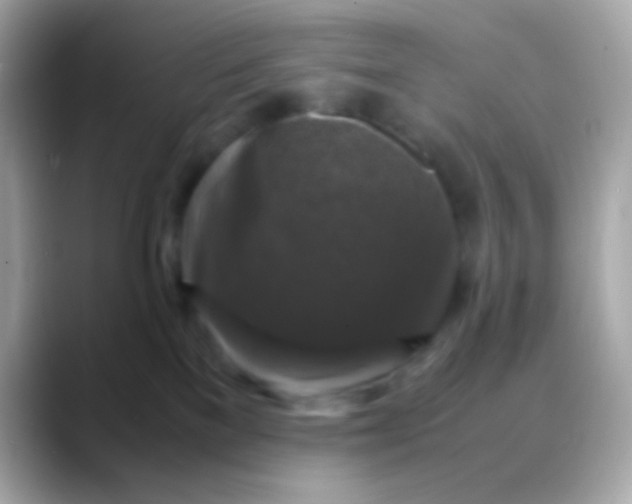 X0000088480137200706051407