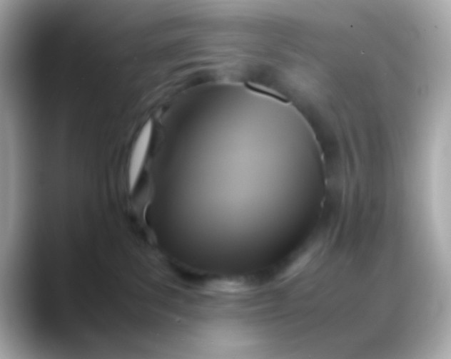 X0000088480139200706051407