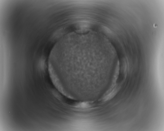 X0000088480140200706051407