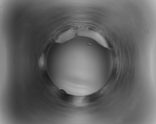 X0000088480143200706051407