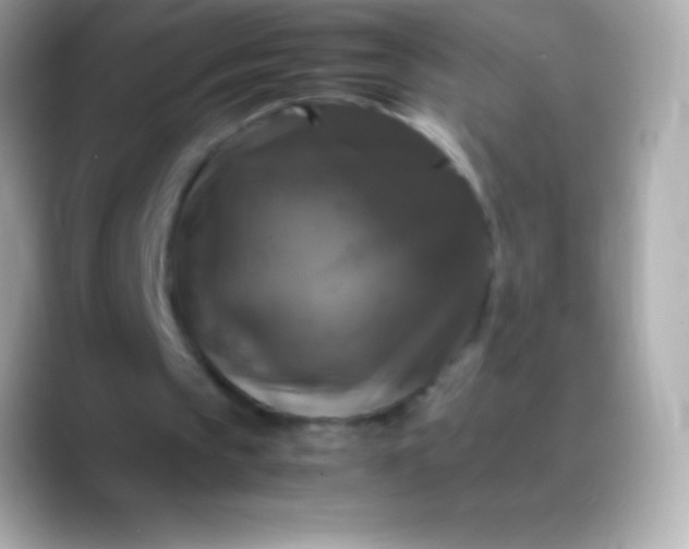 X0000088480145200706051406