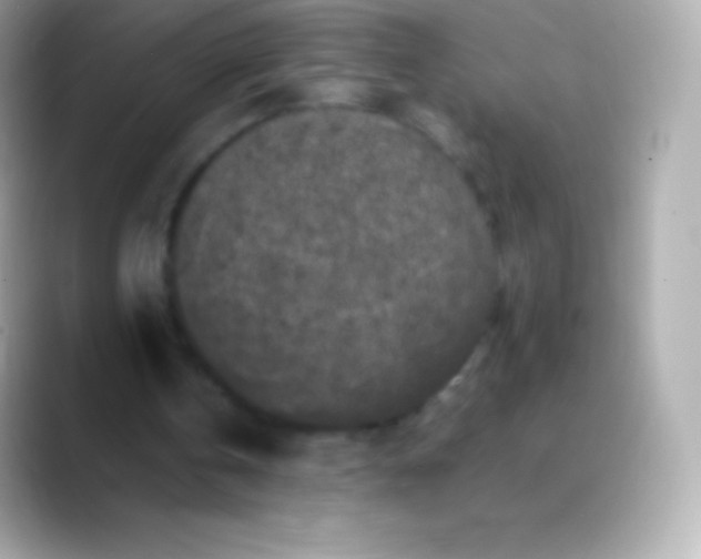 X0000088480146200706051406