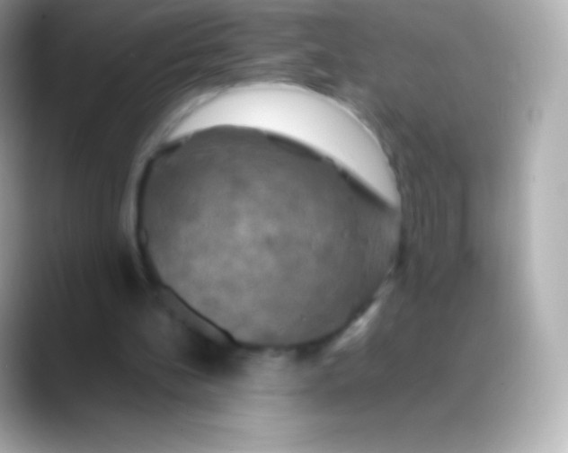 X0000088480148200706051406