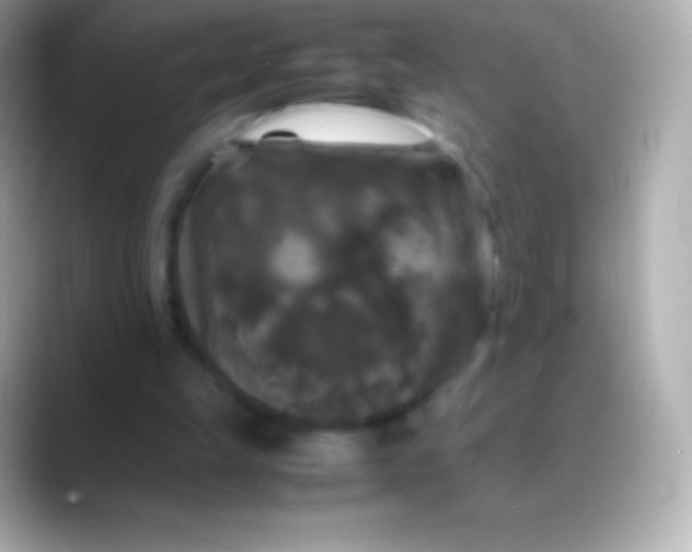 X0000088480149200706051406