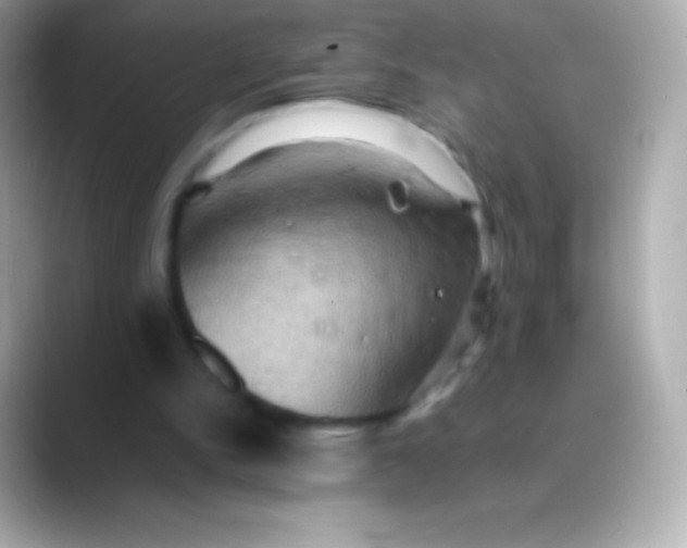 X0000088480150200706051406