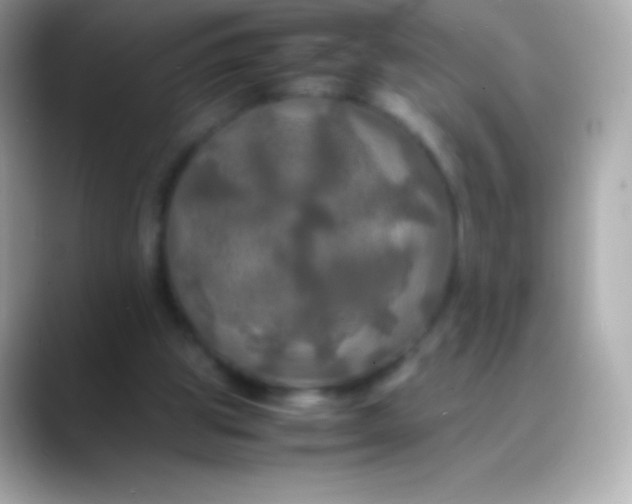 X0000088480153200706051406