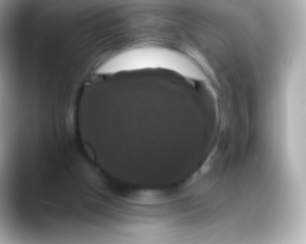 X0000088480154200706051406