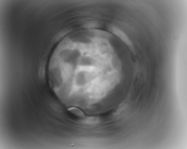 X0000088480155200706051406