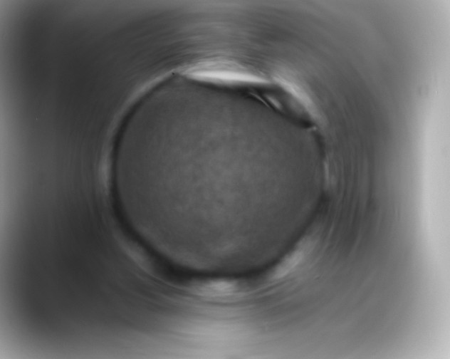 X0000088480156200706051406