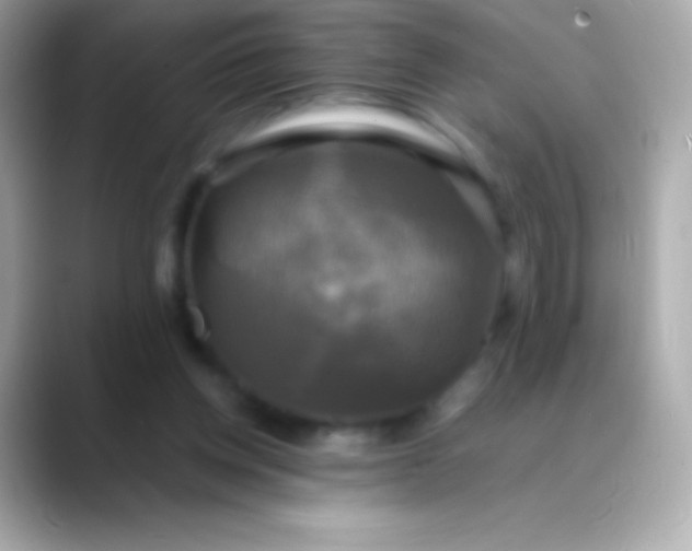 X0000088480158200706051406