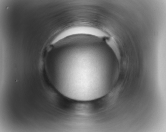 X0000088480160200706051406