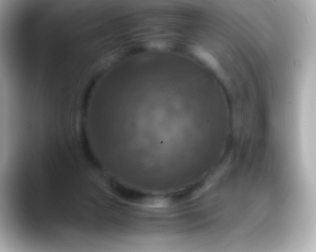 X0000088480161200706051406
