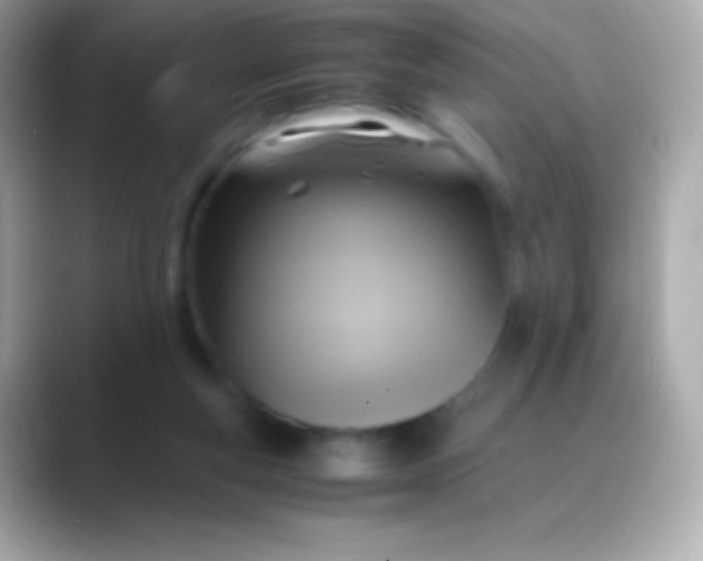 X0000088480163200706051406