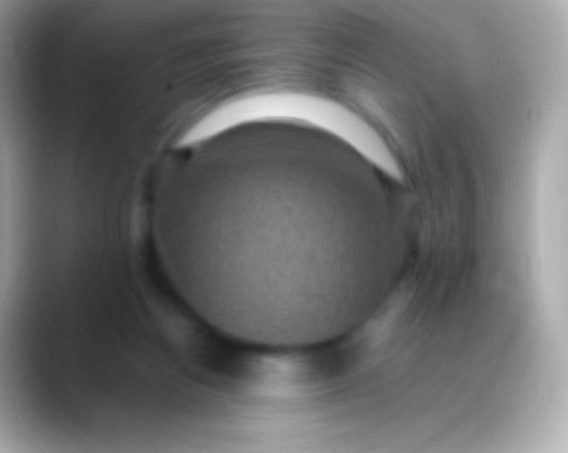 X0000088480164200706051407