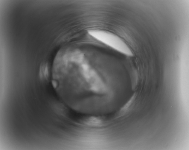 X0000088480166200706051407