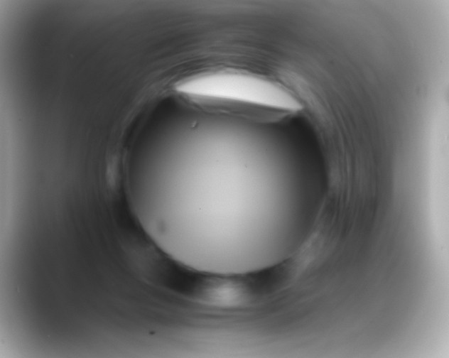 X0000088480167200706051407