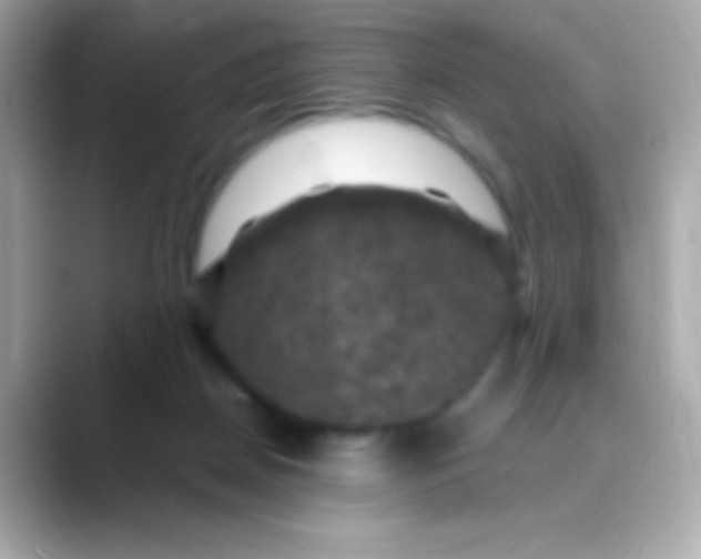 X0000088480170200706051407
