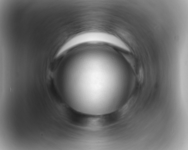 X0000088480172200706051407