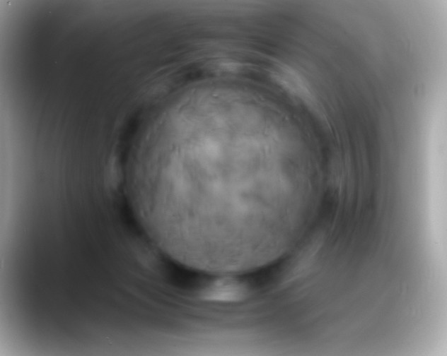X0000088480173200706051407