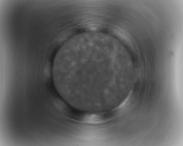 X0000088480174200706051407