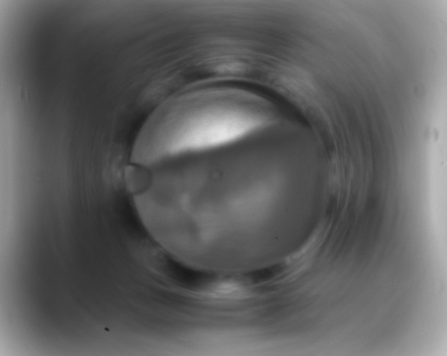X0000088480175200706051407