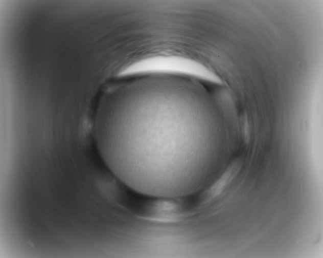 X0000088480176200706051407
