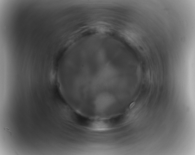 X0000088480177200706051407
