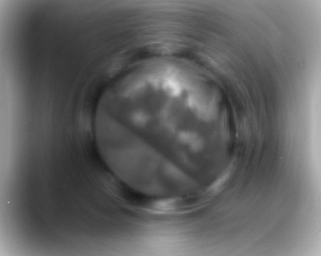 X0000088480178200706051407