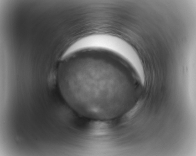X0000088480180200706051407