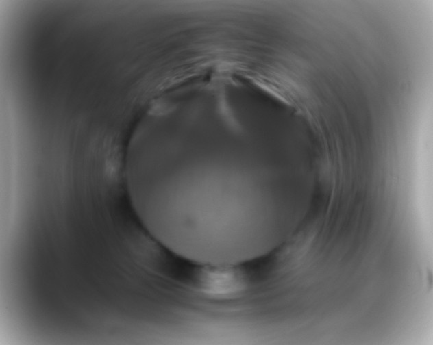 X0000088480181200706051407