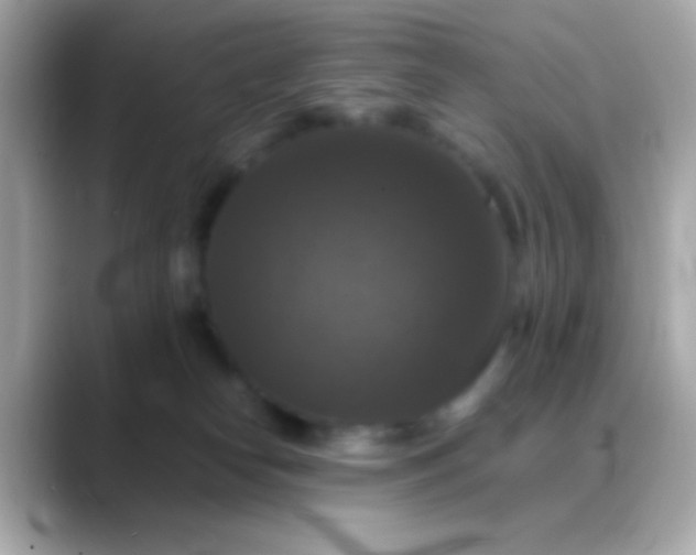 X0000088480182200706051407