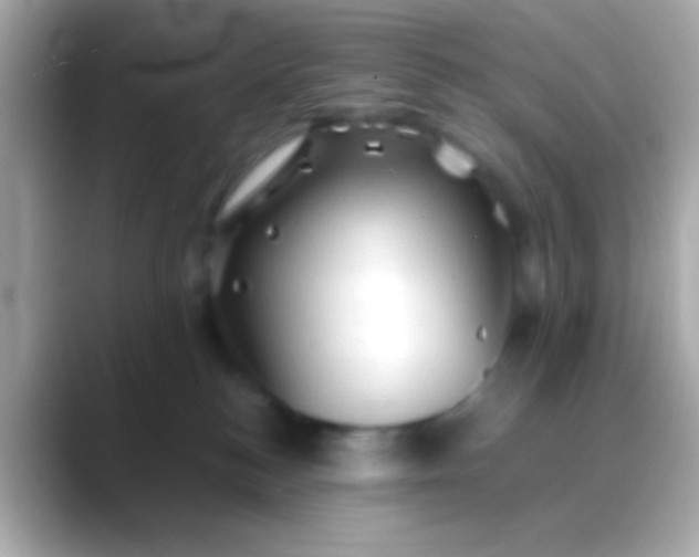 X0000088480184200706051407