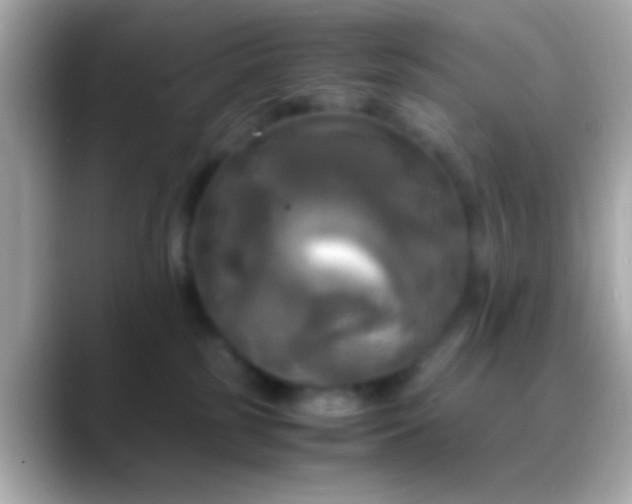 X0000088480185200706051407